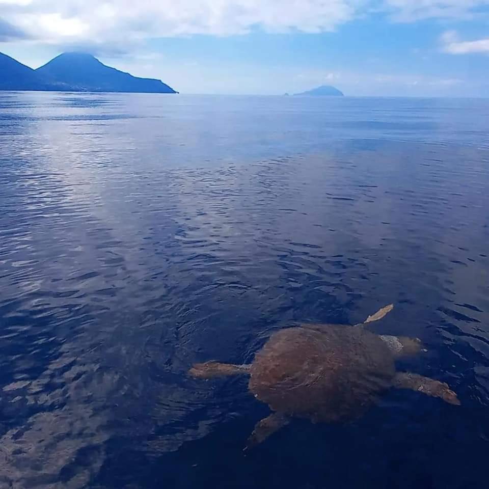 "Appartamento Del Mare Gliaca" Con Vista Isole Eolie,Ampia Terrazza,Wifi E Parcheggio Privato Gratuito Piraino Exteriör bild